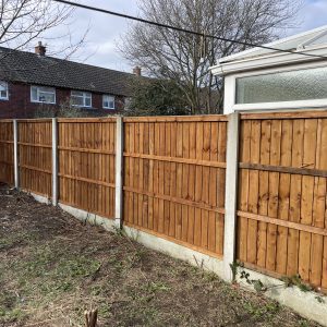 6x5 Feather Edge Fence Panels