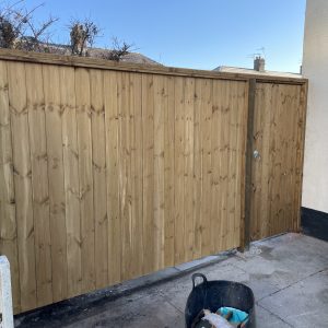Tongue and Groove Fencing and Gate